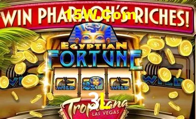 Casino Ao Vivo 3L